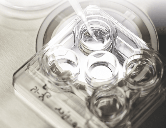 IVF og ICSI-børn klarer sig lige så godt som deres  jævnaldrende, viser forskning